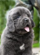 Превью фото № 227724