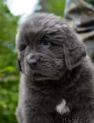 Превью фото № 227726