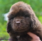 Превью фото № 227736