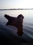 Превью фото № 227776