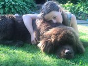 Превью фото № 227832