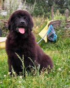 Превью фото № 227910