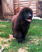 Превью фото № 227912