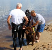 Превью фото № 227950