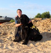 Превью фото № 227981