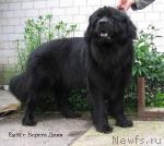 Превью фото № 228