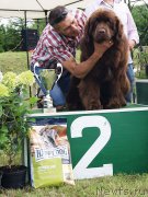 Превью фото № 228043