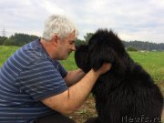 Превью фото № 228052