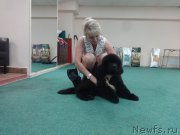 Превью фото № 228135