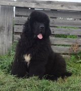 Превью фото № 228140