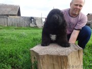 Превью фото № 228156