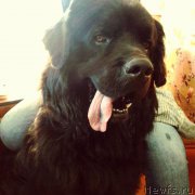 Превью фото № 228228