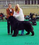 Превью фото № 22836