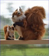 Превью фото № 228370