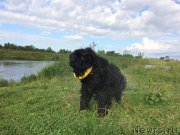 Превью фото № 228381