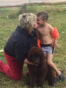 Превью фото № 228392