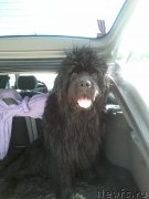 Превью фото № 228396