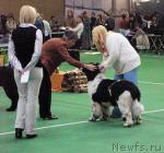 Превью фото № 22840