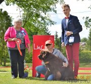 Превью фото № 228400