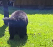 Превью фото № 228428