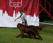 Превью фото № 228430