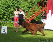 Превью фото № 228436