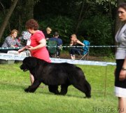 Превью фото № 228438