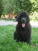 Превью фото № 228441