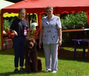 Превью фото № 228443