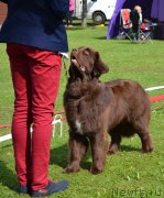 Превью фото № 228472