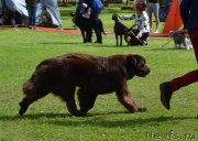 Превью фото № 228473