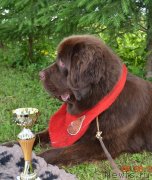 Превью фото № 228476