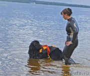 Превью фото № 228481