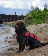 Превью фото № 228482