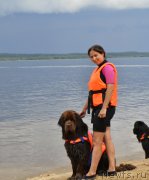 Превью фото № 228485