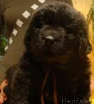 Превью фото № 22850