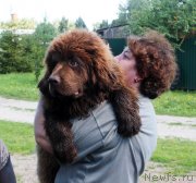 Превью фото № 228541