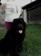 Превью фото № 228551