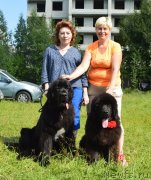 Превью фото № 228565