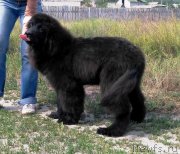 Превью фото № 228594