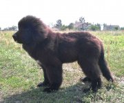 Превью фото № 228599