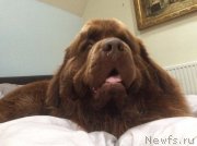 Превью фото № 228609