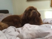 Превью фото № 228610