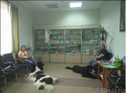 Превью фото № 228619