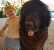 Превью фото № 228621