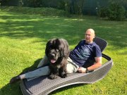 Превью фото № 228624