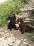 Превью фото № 228631