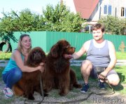 Превью фото № 228655