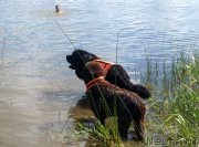 Превью фото № 228670