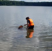 Превью фото № 228674